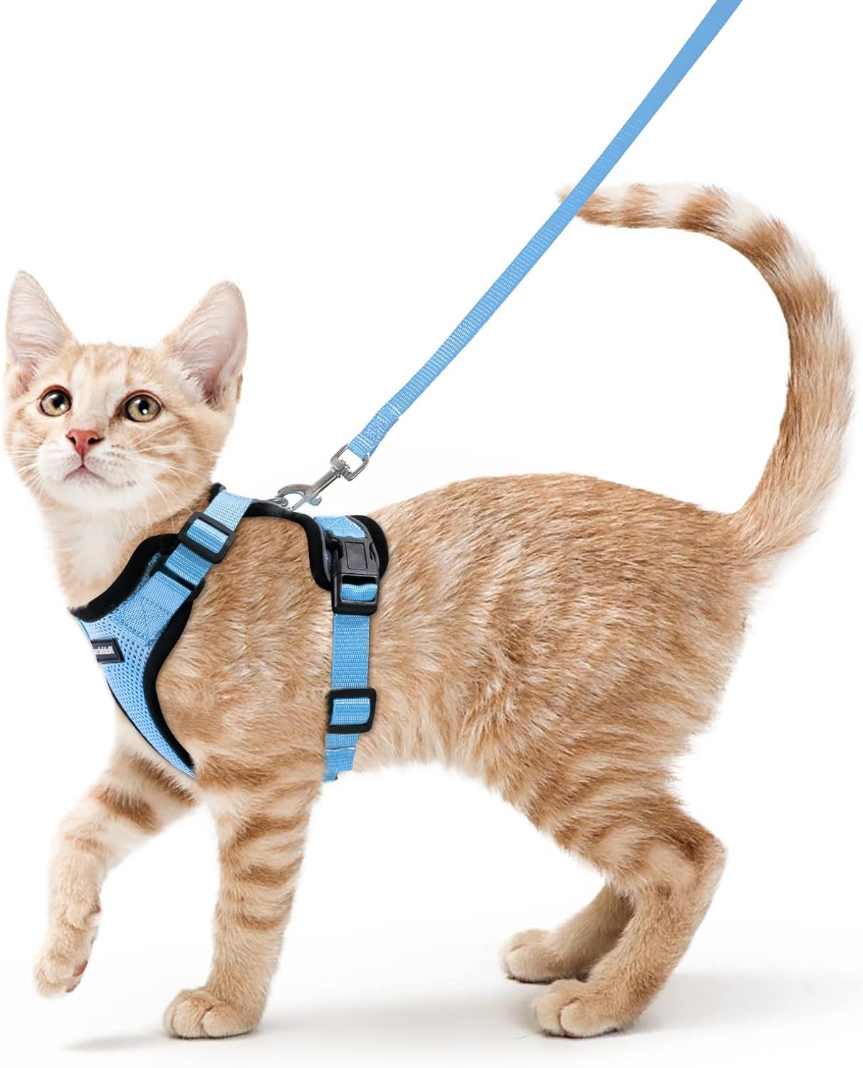 rabbitgoo Cat Harness and Lead Set, Escape Proof | PetNestUK