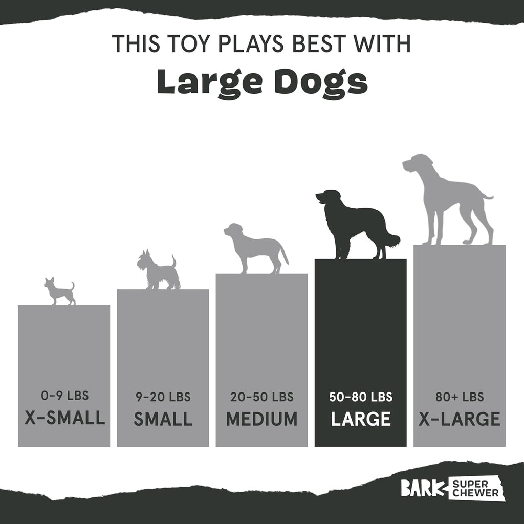 Barkbox Squeaky Dog Toys - Plush and Squeak Chew | PetNestUK