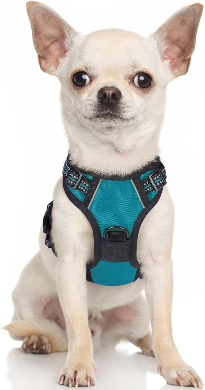 rabbitgoo Dog Harness Dog No Pull Pet Harness | PetNestUK