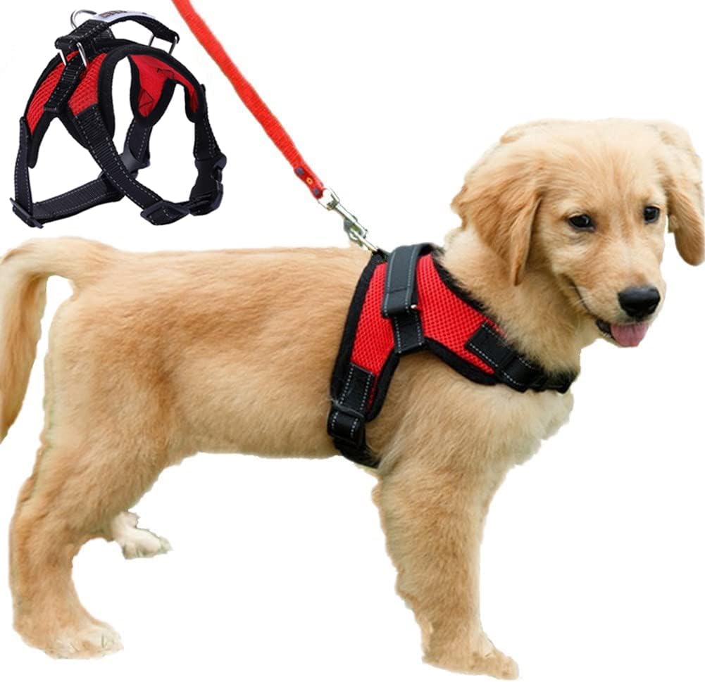Dog Harness Mesh Breathable Comfortable Pet Vest | PetNestUK