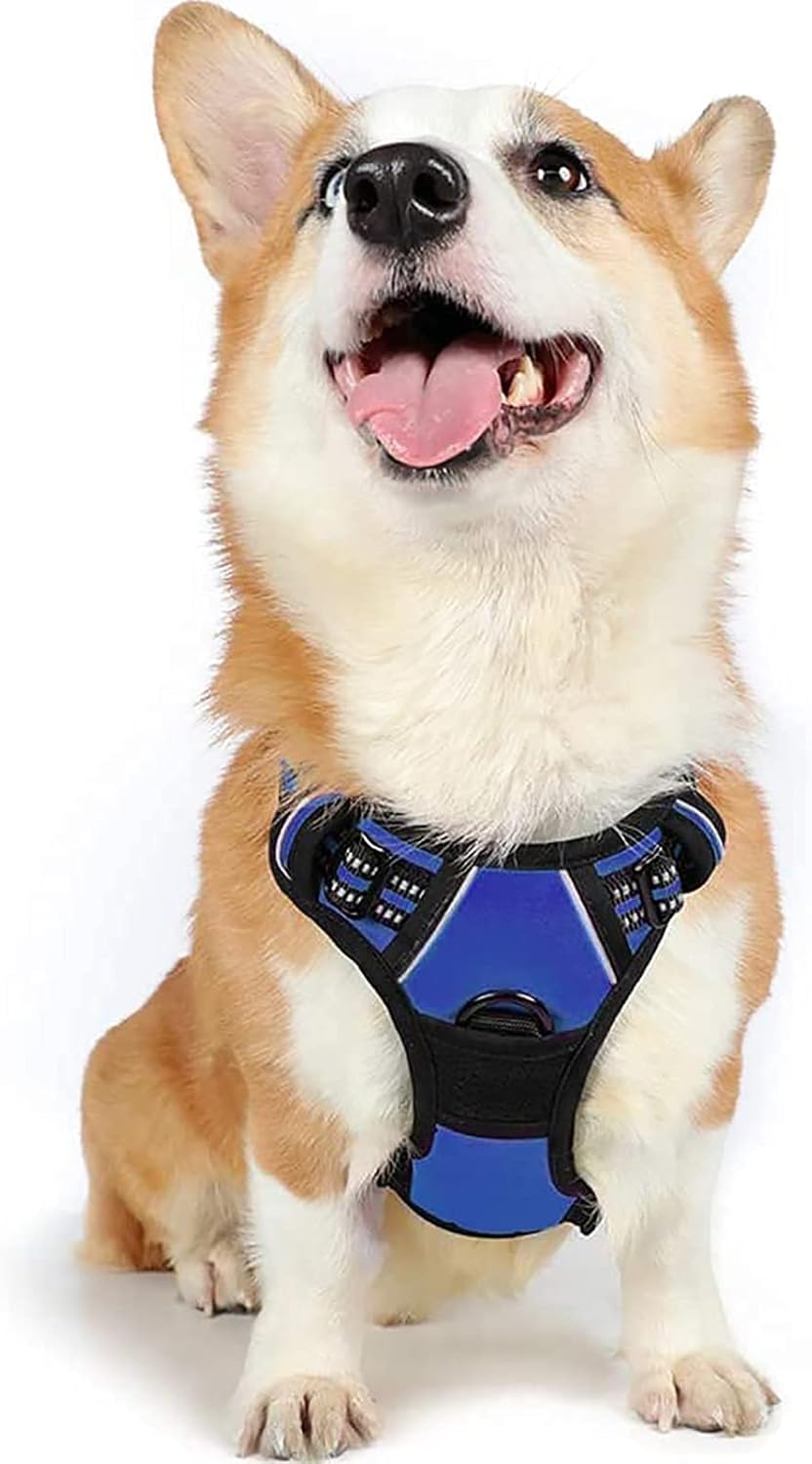 rabbitgoo Padded Dog Harness with Two Lead Clips