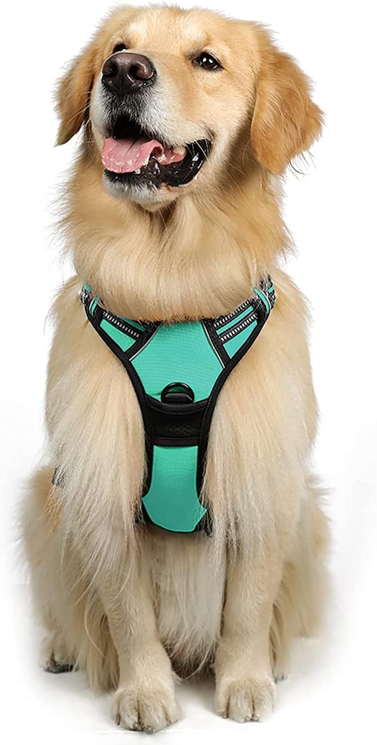 rabbitgoo Dog Harness Dog No Pull Pet Harness | PetNestUK