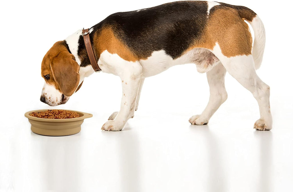 SLSON 2 Pack Dog Collapsible Bowl Large Portable | PetNestUK