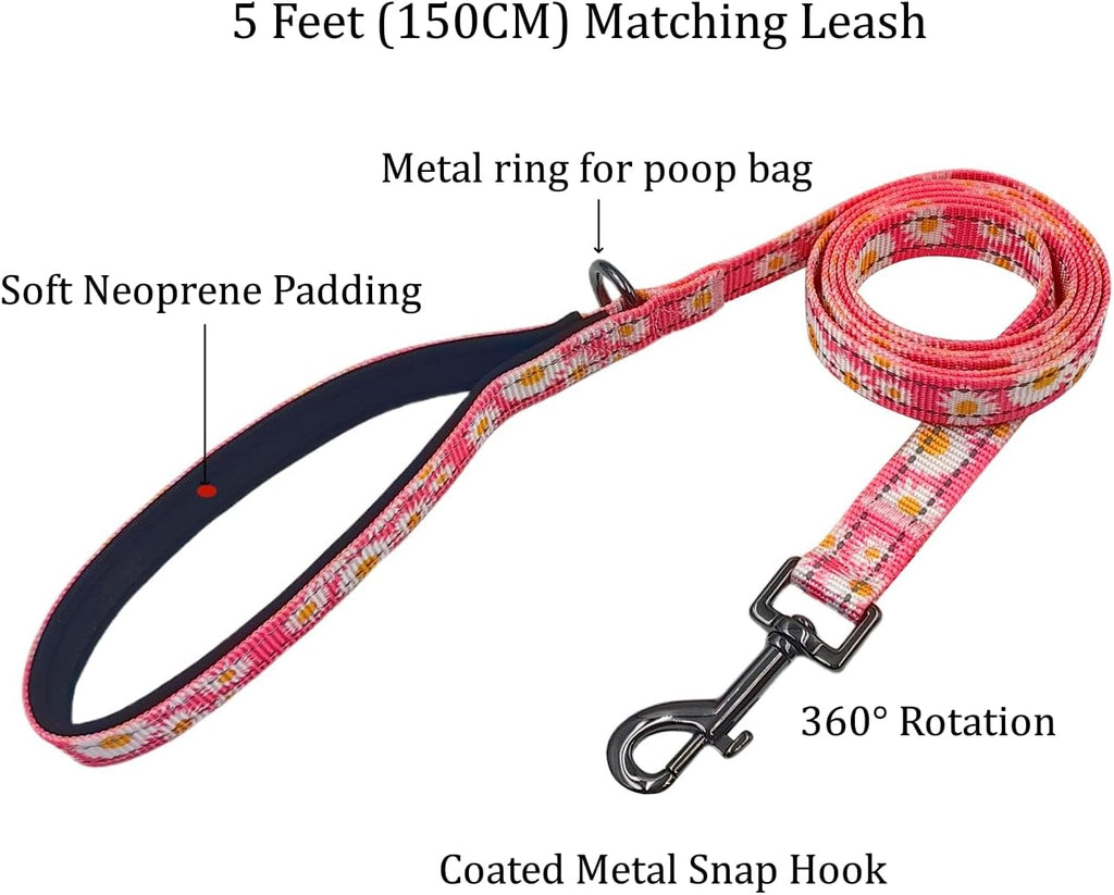 Olahibi Patterned Dog Collar and Lead Sets