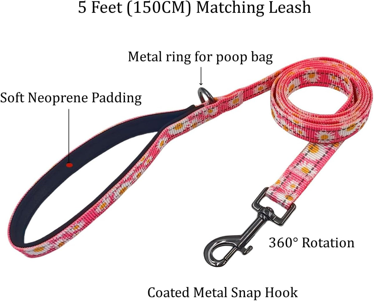 Olahibi Patterned Dog Collar and Lead Sets
