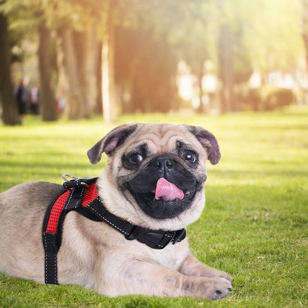 Dog Harness Mesh Breathable Comfortable Pet Vest | PetNestUK