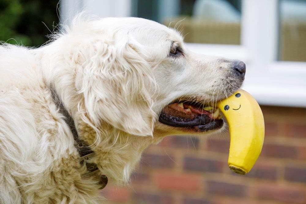 Petface Latex Fruit and Vegetable Dog Toys