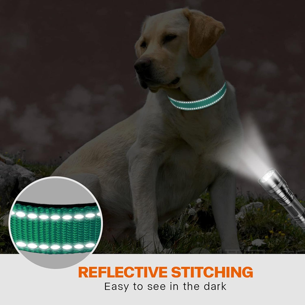 Taglory Reflective Nylon Dog Collar with Safety | PetNestUK