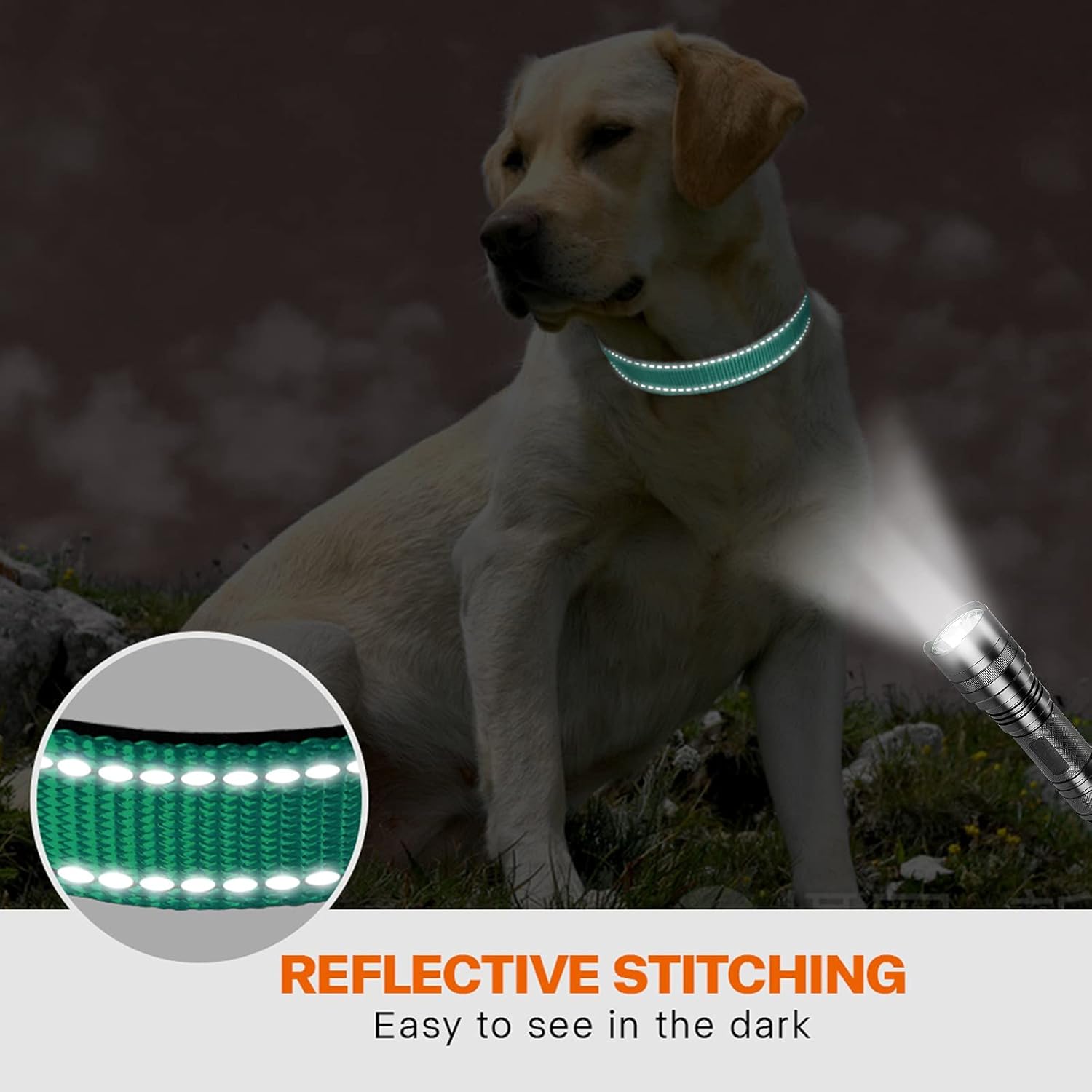 Taglory Reflective Nylon Dog Collar with Safety | PetNestUK