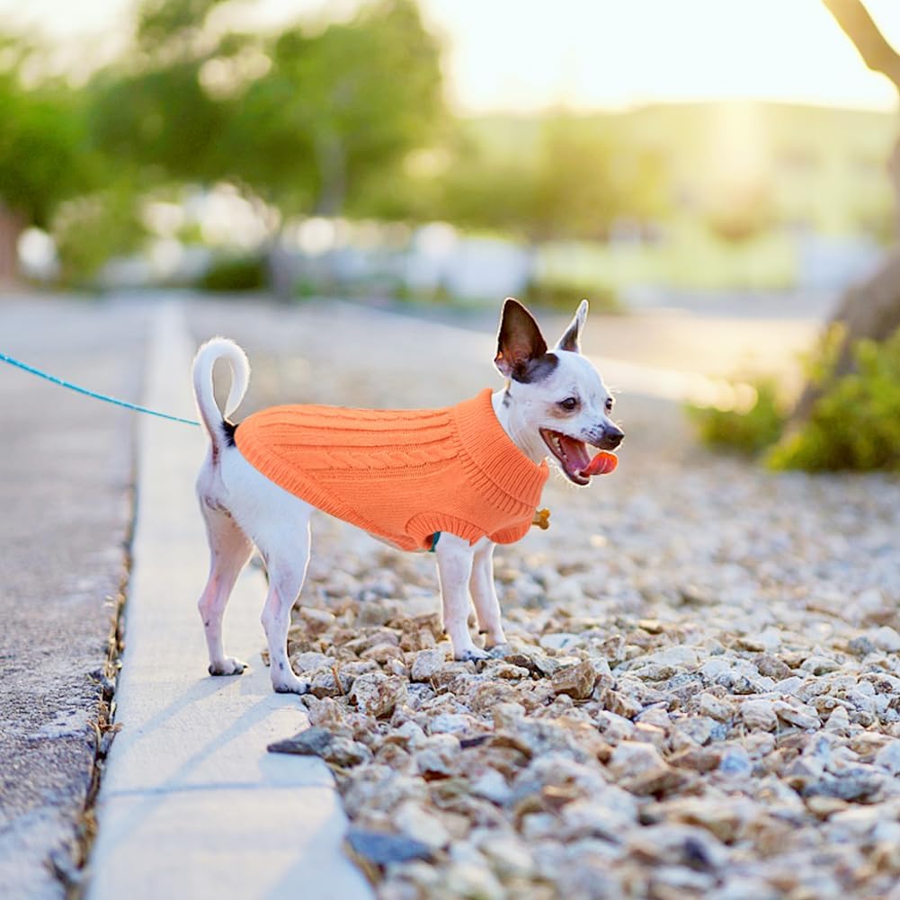 Small Dog Jumper, Warm Puppy Sweater for Small | PetNestUK
