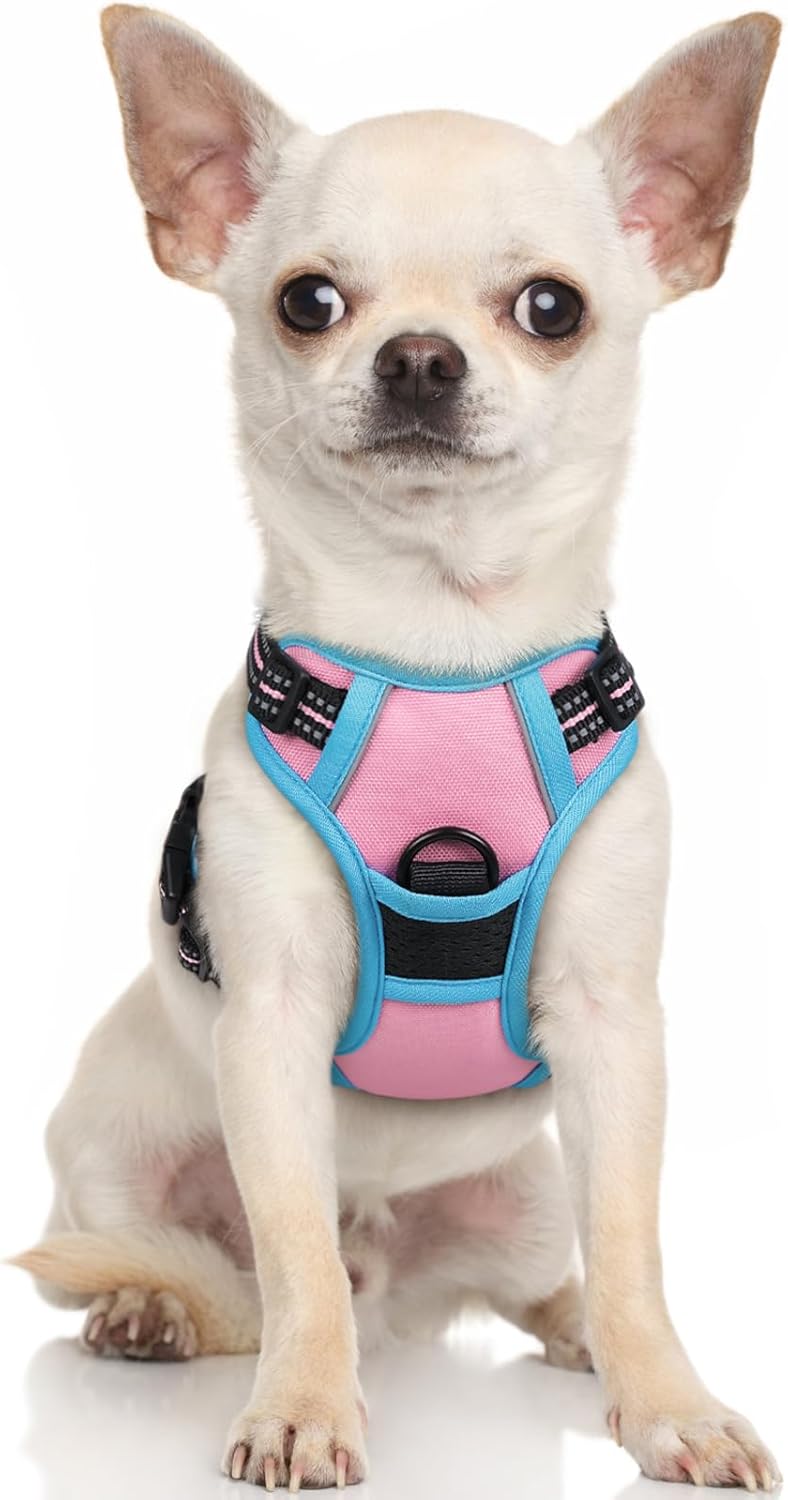 rabbitgoo Padded Dog Harness with Two Lead Clips