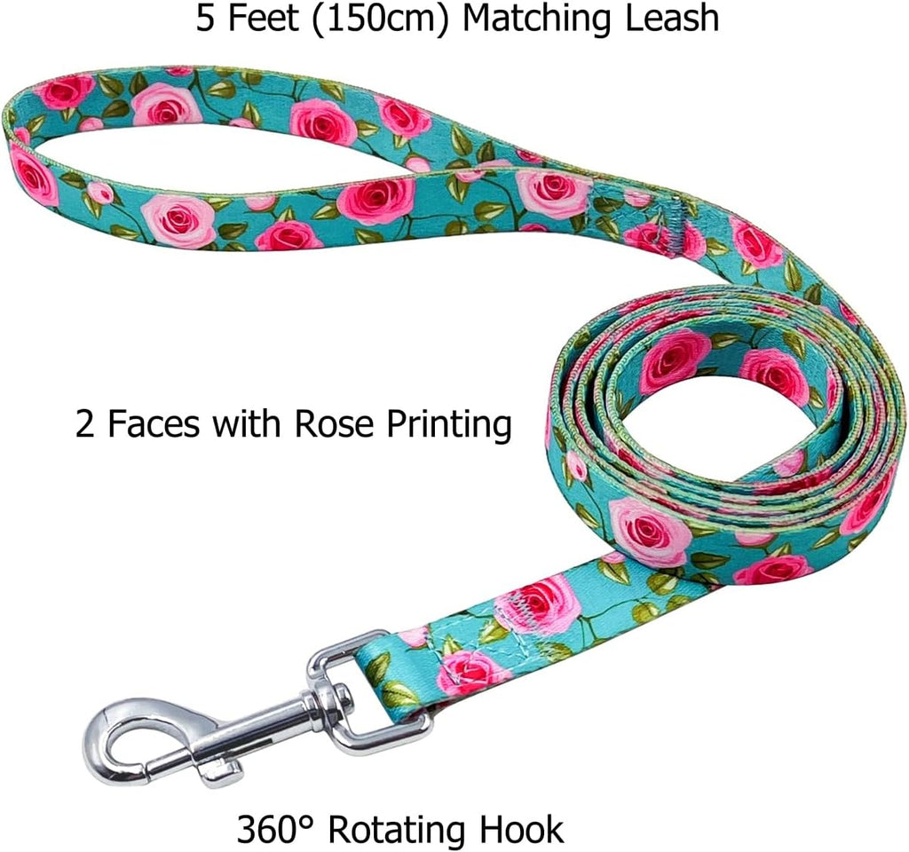 Olahibi Patterned Dog Collar and Lead Sets