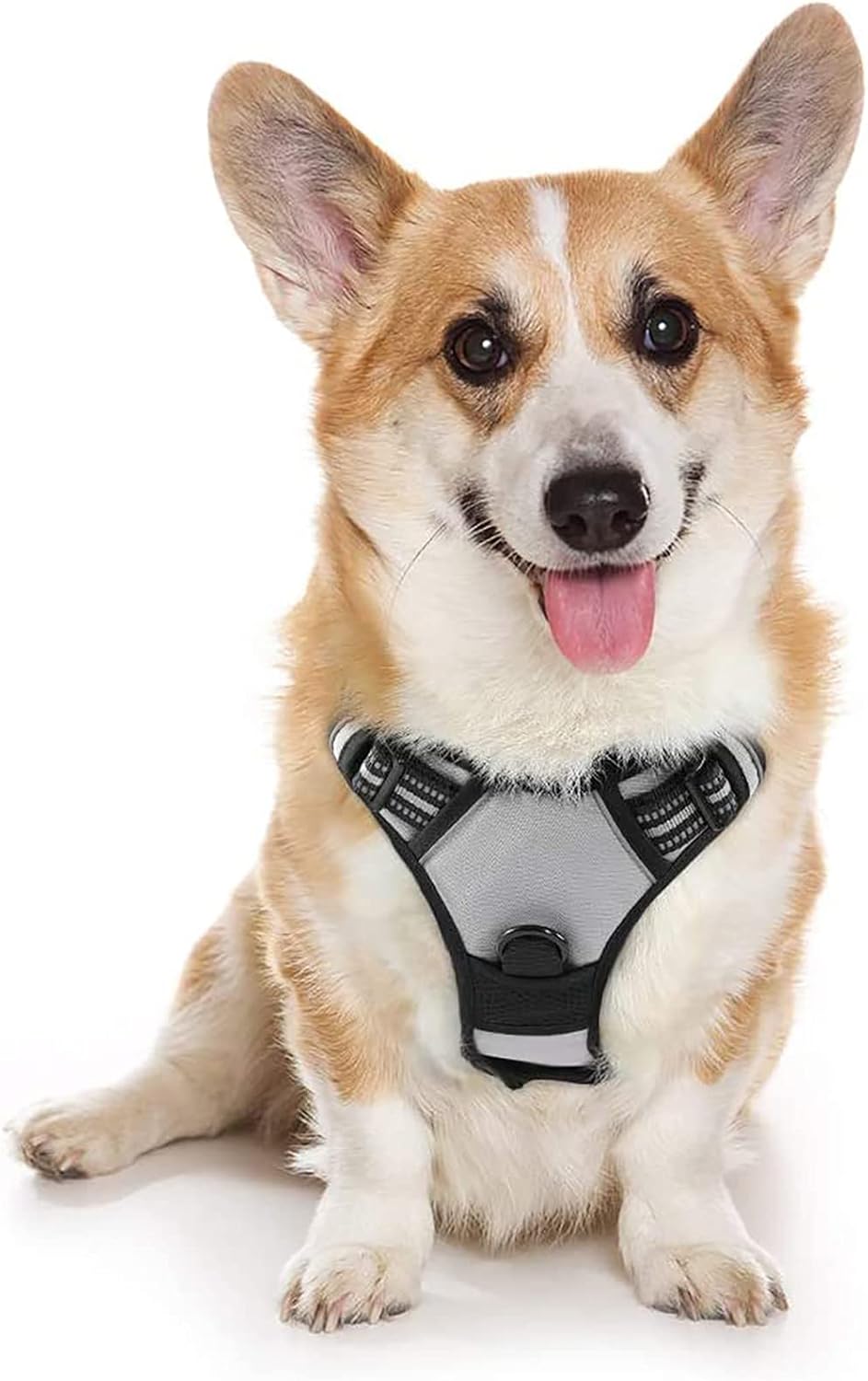 rabbitgoo Dog Harness Dog No Pull Pet Harness | PetNestUK