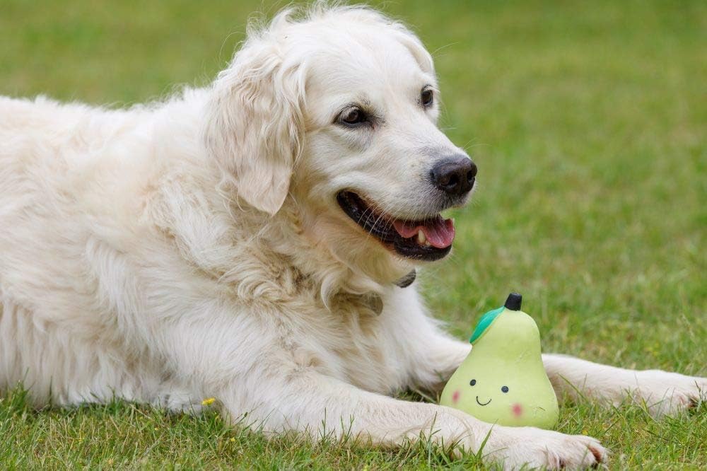 Petface Latex Fruit and Vegetable Dog Toys