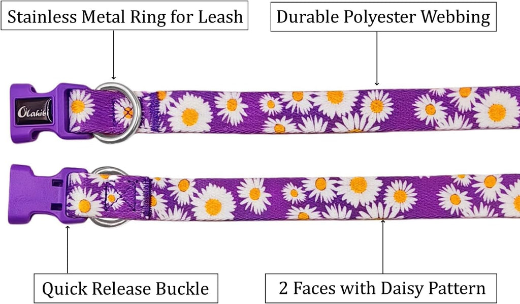 Olahibi Daisy Pattern Dog Collar and Leash | PetNestUK
