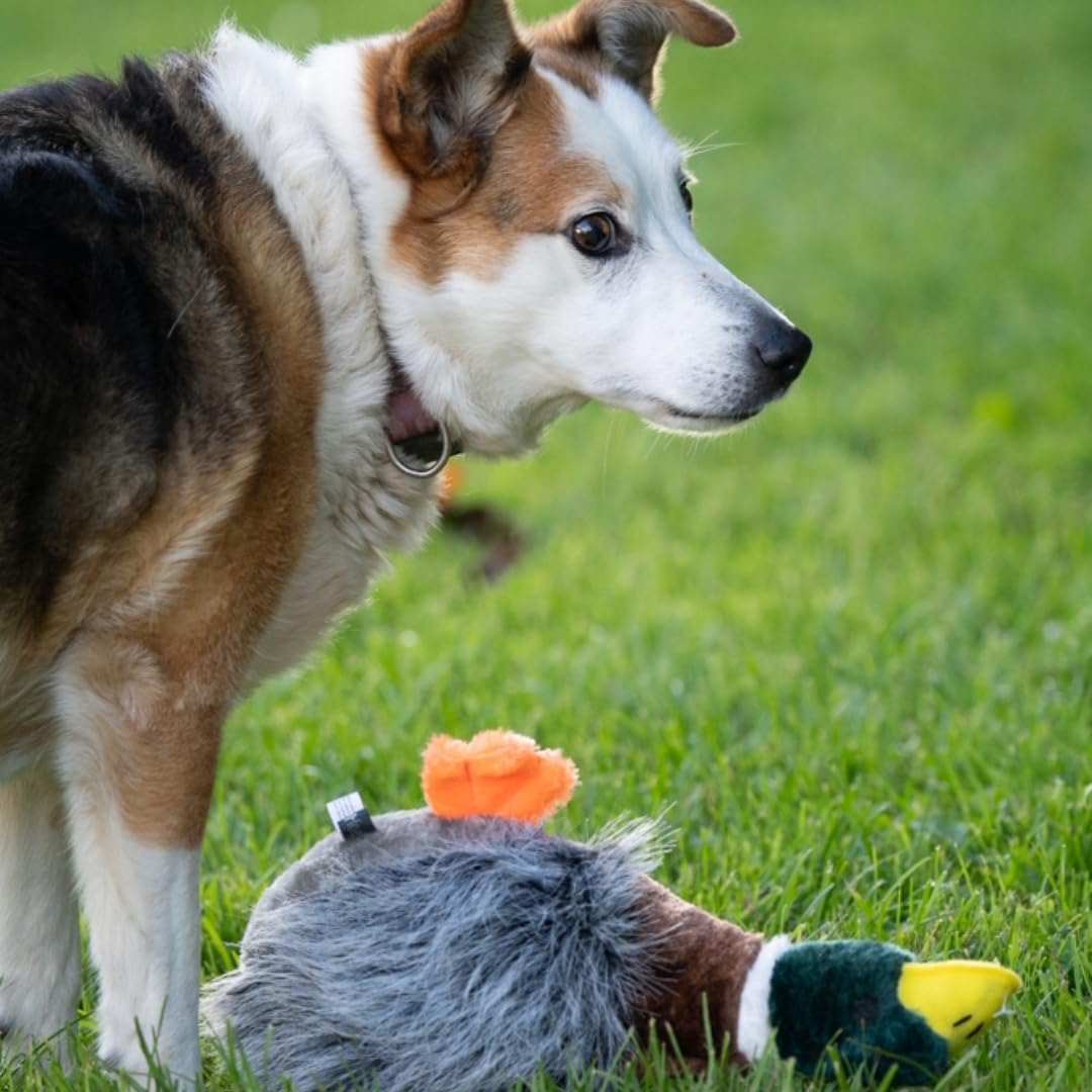 Petface Plush and Squeaky Dog Toys