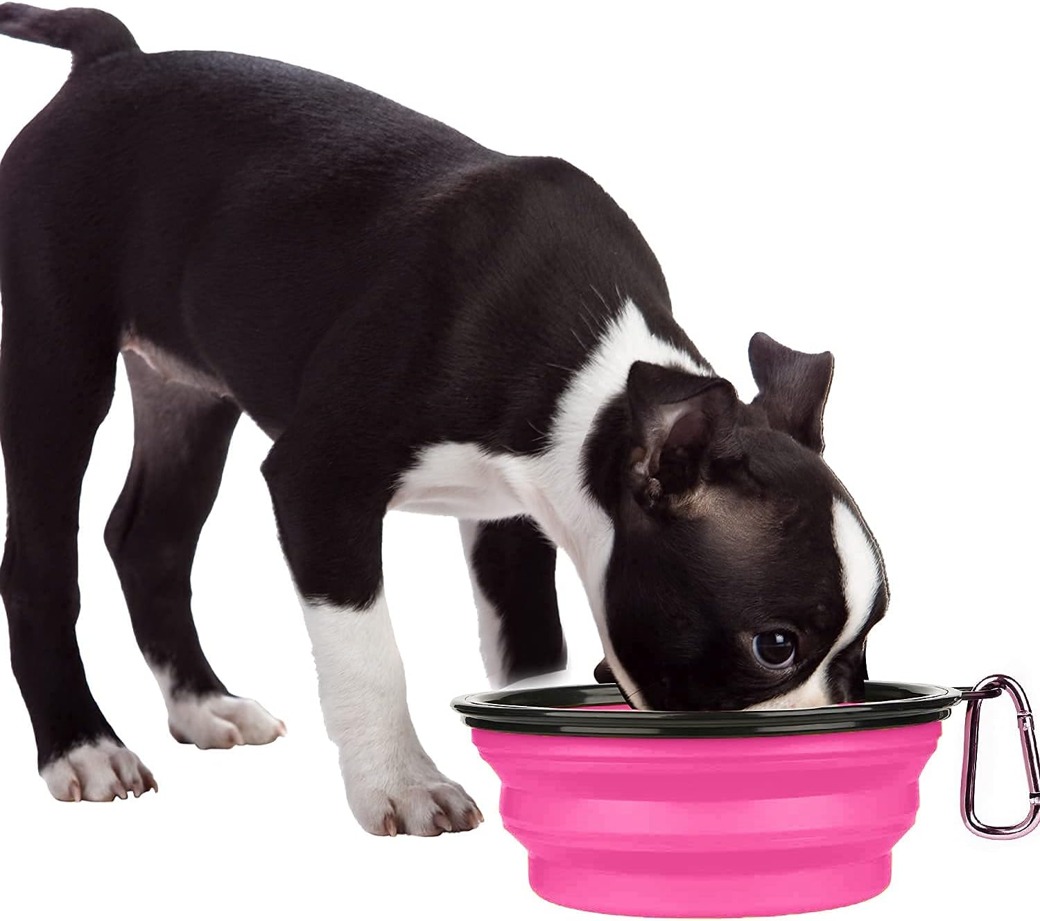 Collapsible Dog Bowl,Collapsible Dog Water Bowls | PetNestUK