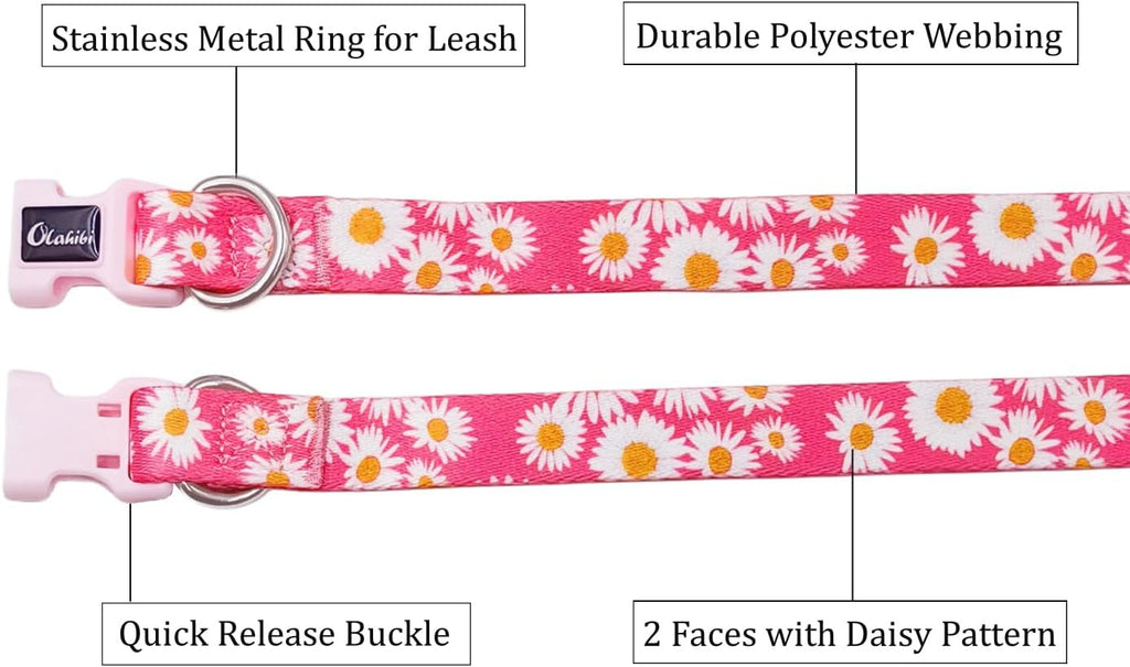 Olahibi Daisy Pattern Dog Collar and Leash | PetNestUK