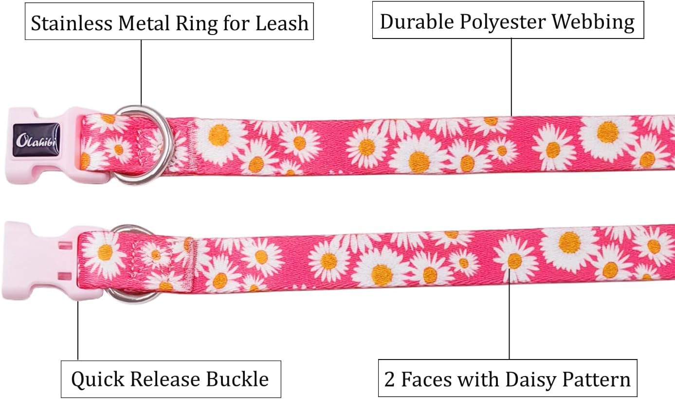 Olahibi Daisy Pattern Dog Collar and Leash | PetNestUK