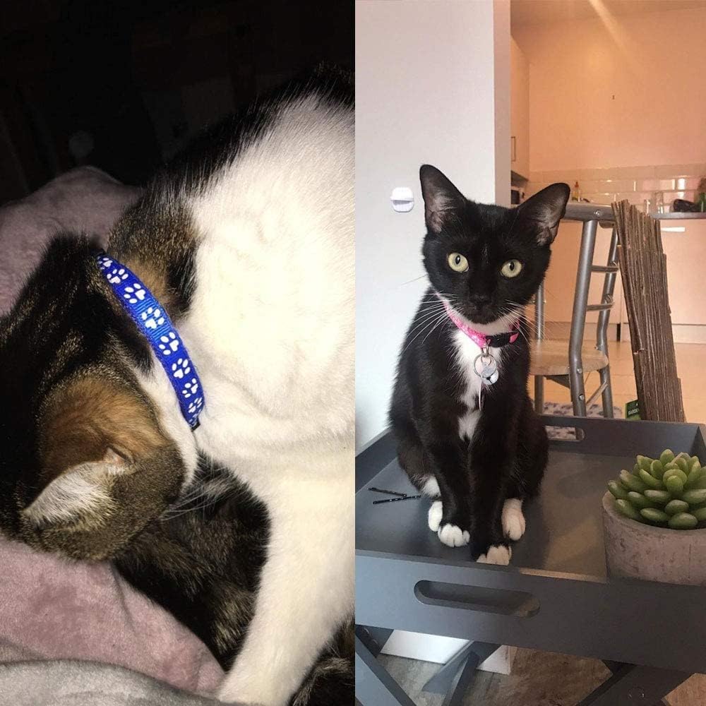 Reflective Cat Collars with Bells, Safe Quick | PetNestUK