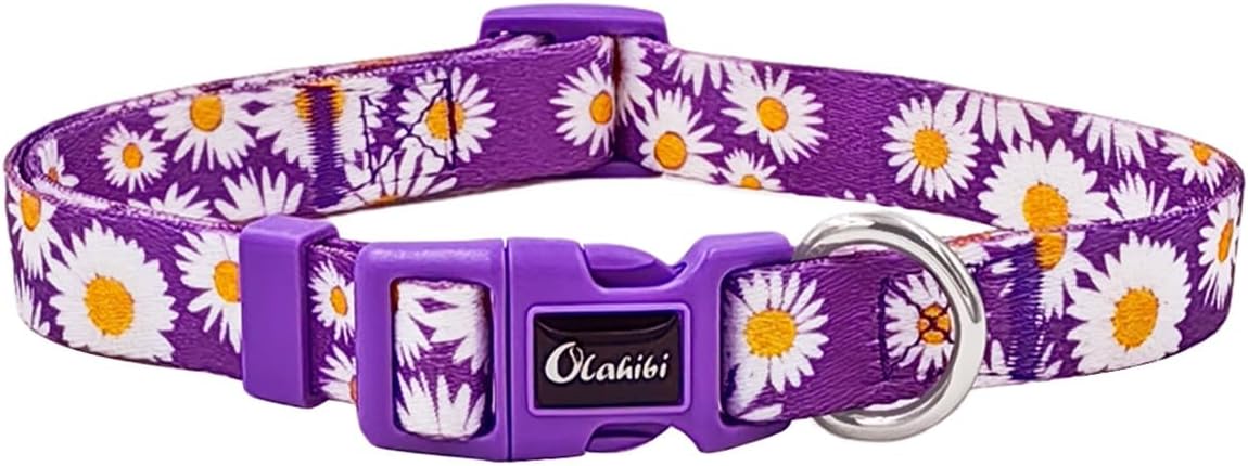 Olahibi Daisy Pattern Dog Collar and Leash | PetNestUK