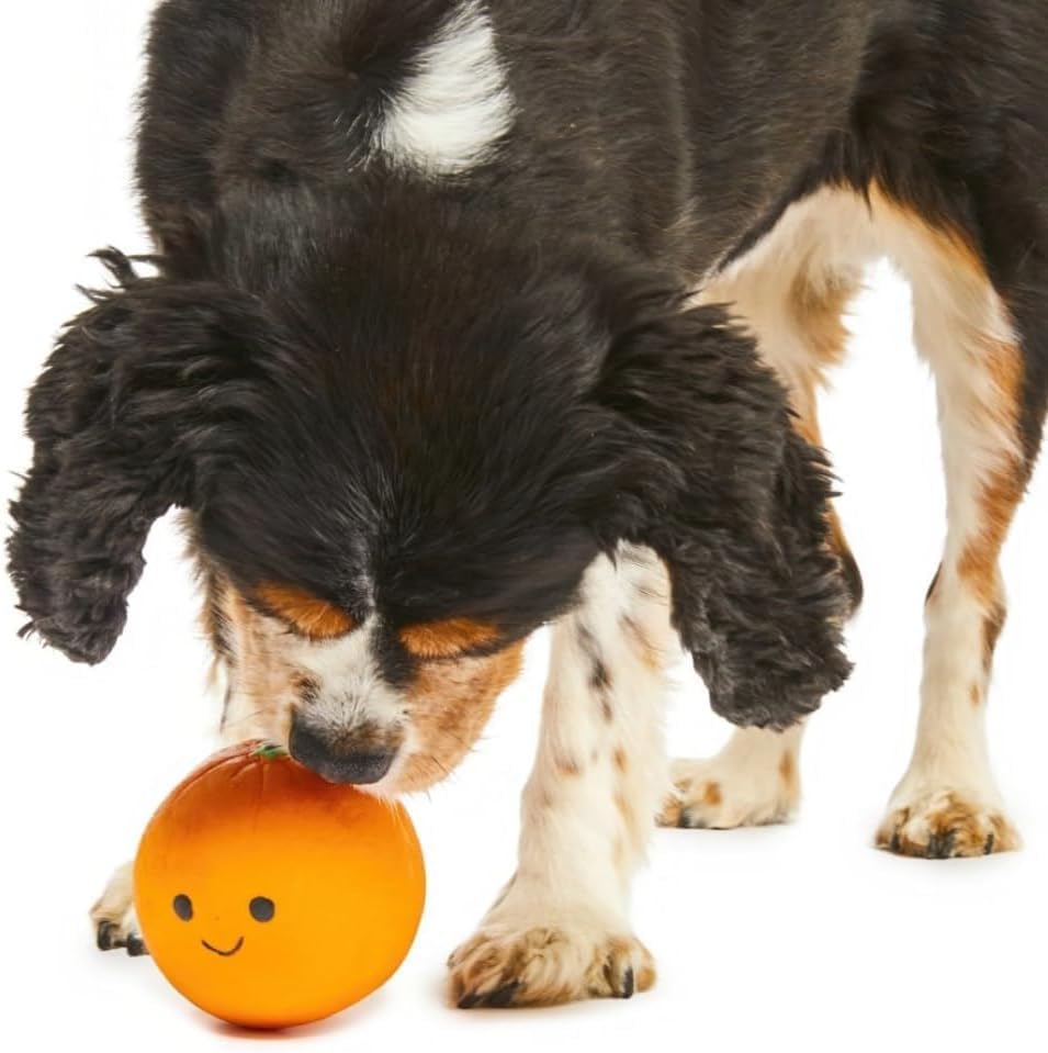 Petface Latex Fruit and Vegetable Dog Toys