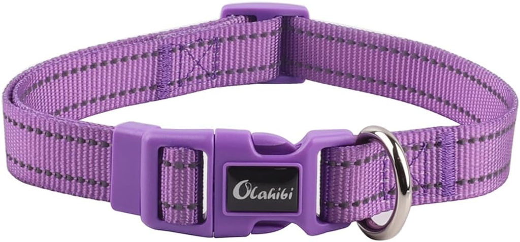 Olahibi Daisy Pattern Dog Collar and Leash | PetNestUK