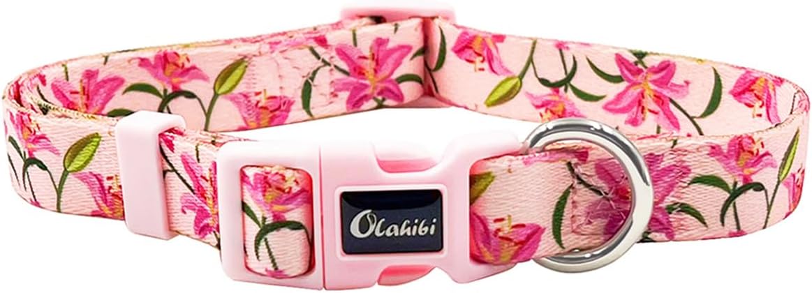 Olahibi Daisy Pattern Dog Collar and Leash | PetNestUK