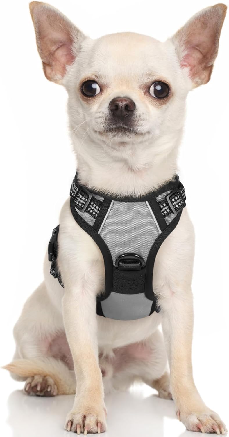 rabbitgoo Padded Dog Harness with Two Lead Clips