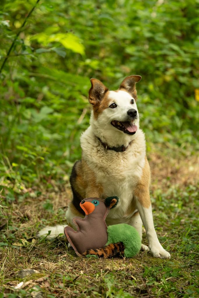 Petface Heston Hedgehog Plush Dog Toy (Pack of | PetNestUK