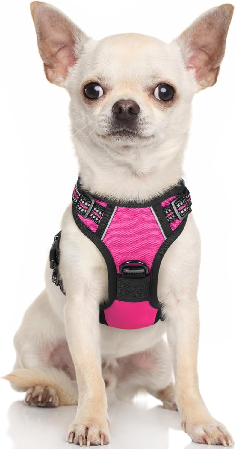 rabbitgoo Padded Dog Harness with Two Lead Clips