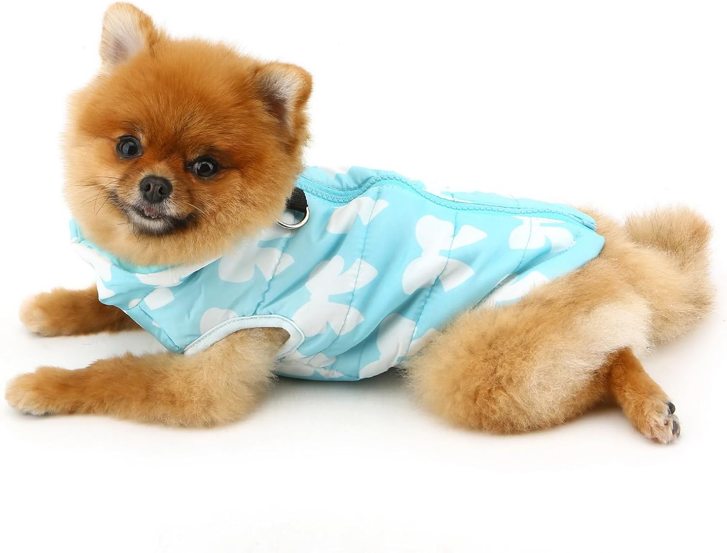 SMALLLEE_LUCKY_STORE Small Dog Cat Winter Coat | PetNestUK