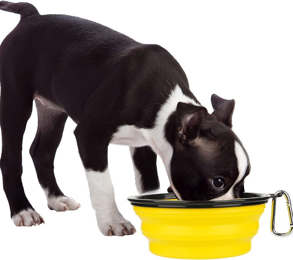 Collapsible Dog Bowl,Collapsible Dog Water Bowls | PetNestUK