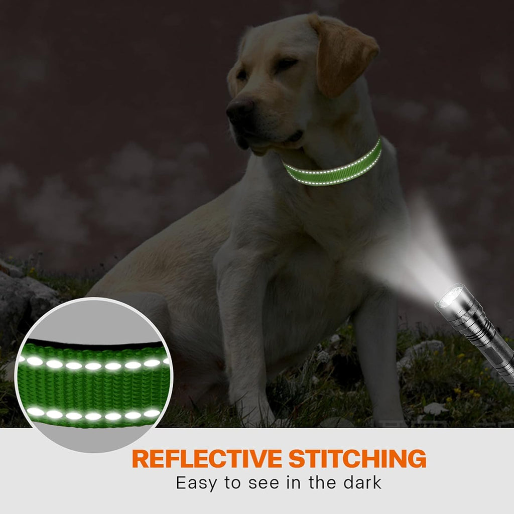 Taglory Reflective Nylon Dog Collar with Safety | PetNestUK