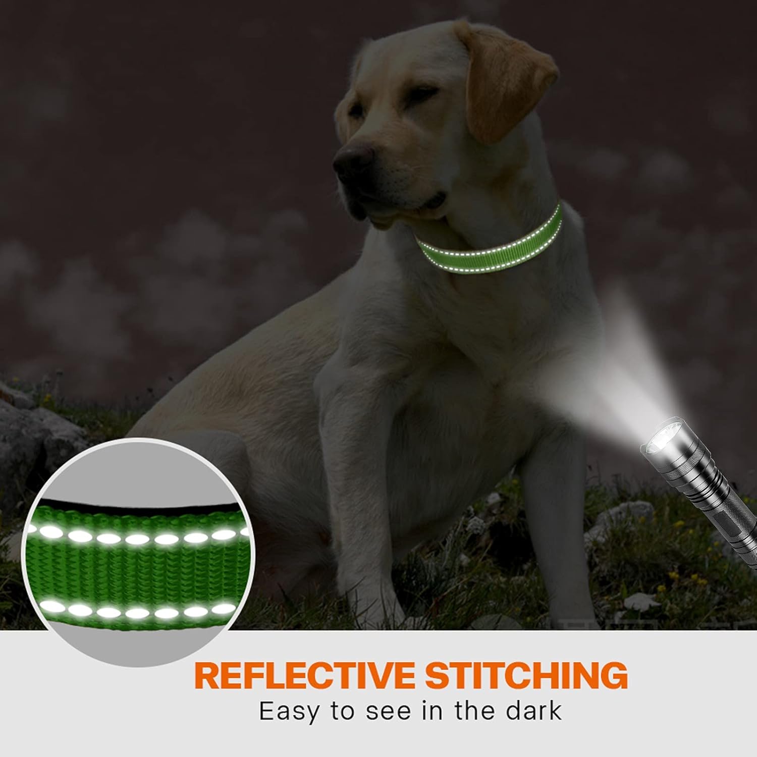 Taglory Reflective Nylon Dog Collar with Safety | PetNestUK
