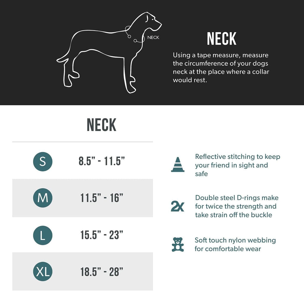 EZYDOG Double Up Dog Collar | PetNestUK