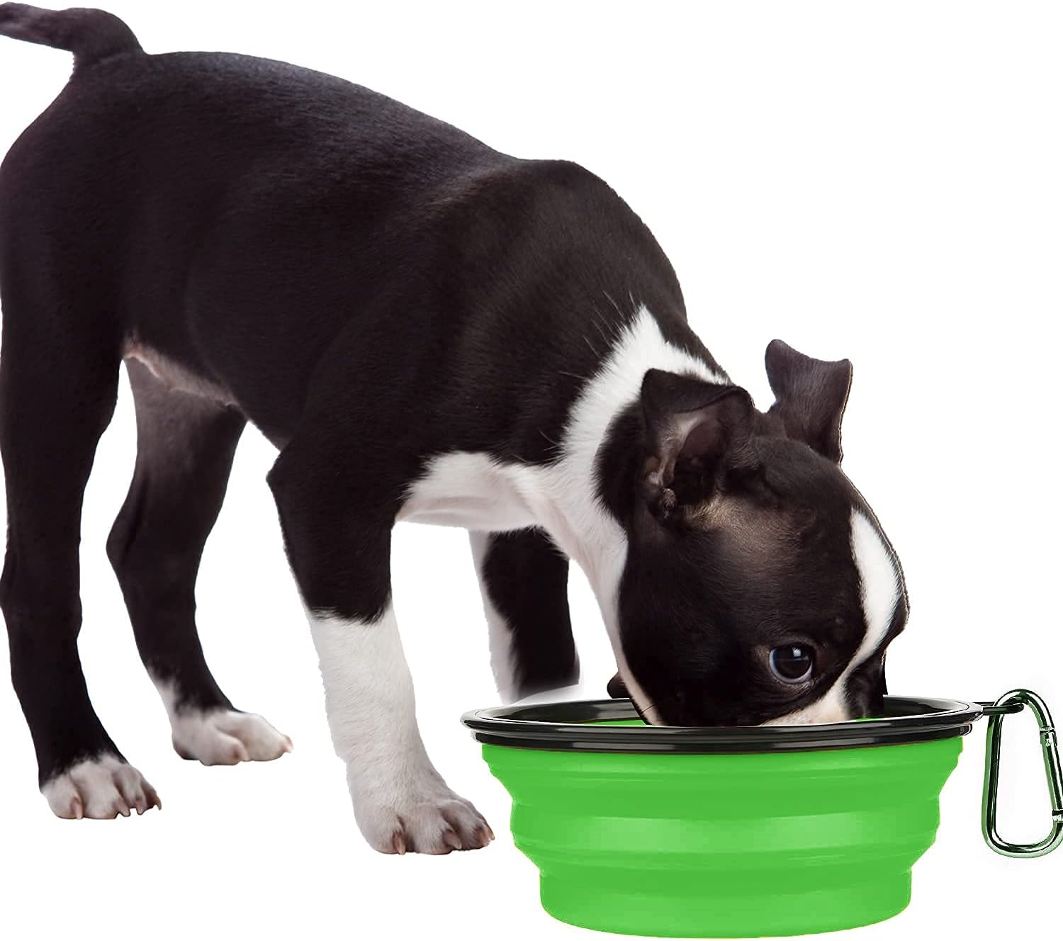 Collapsible Dog Bowl,Collapsible Dog Water Bowls | PetNestUK