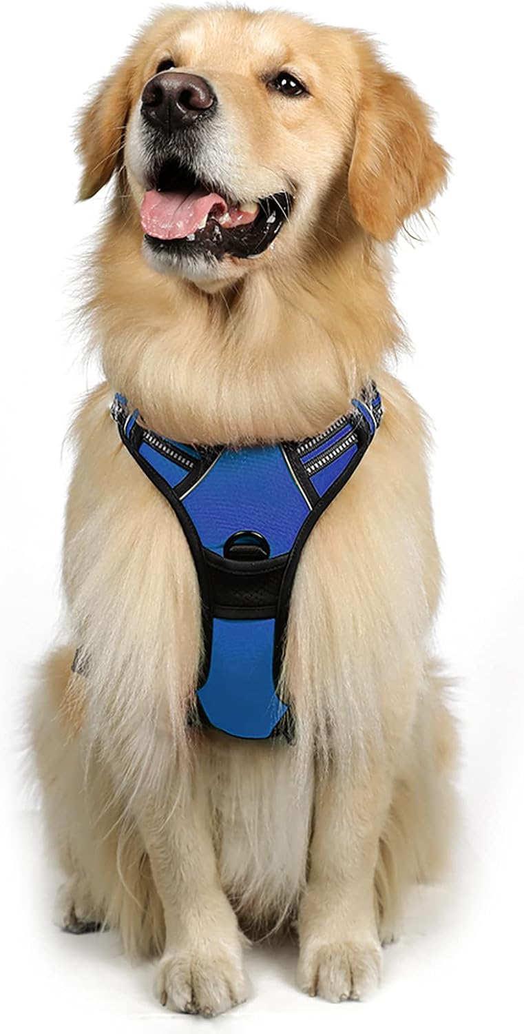 rabbitgoo Padded Dog Harness with Two Lead Clips