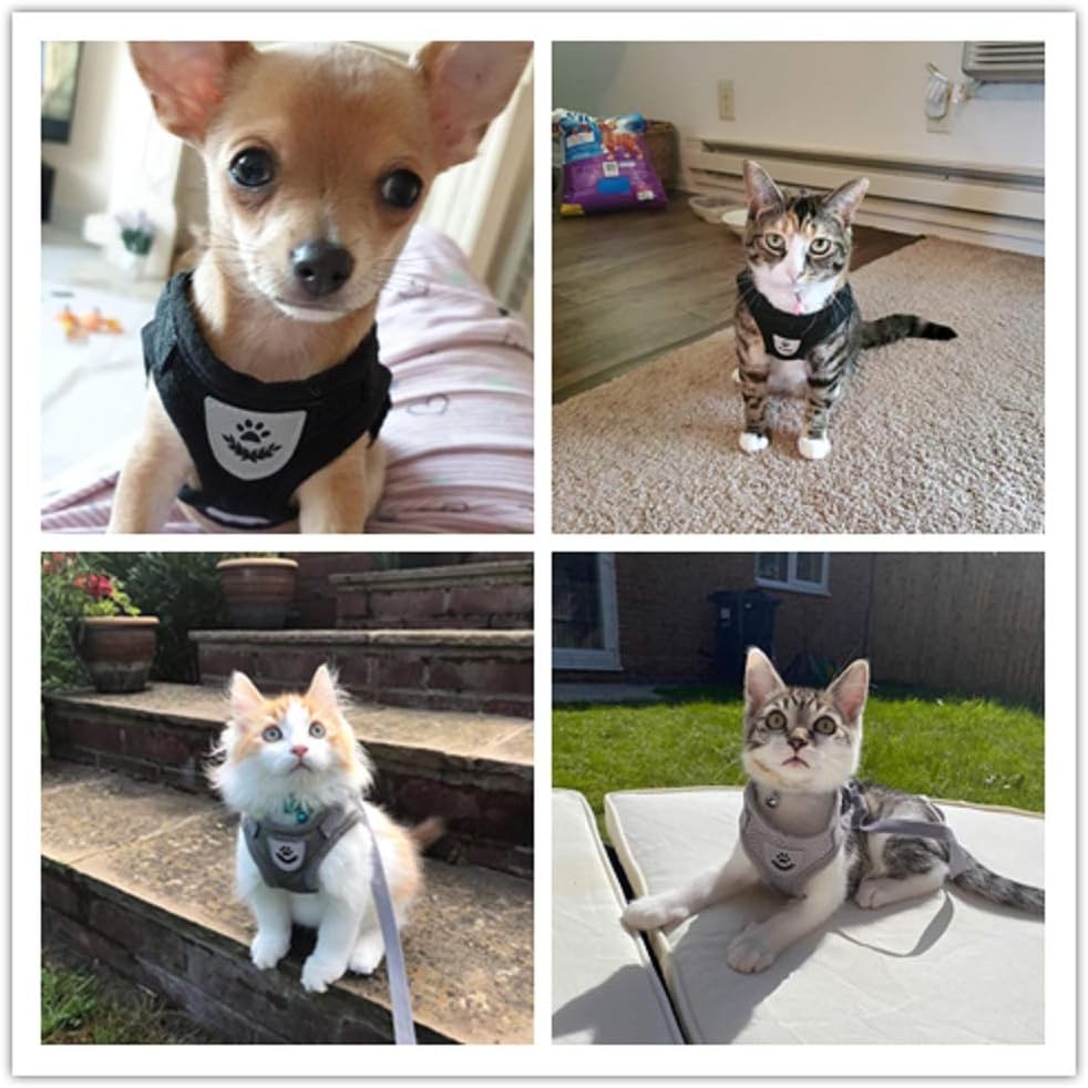 Anlitent Mesh Pet Harness and Lead Set
