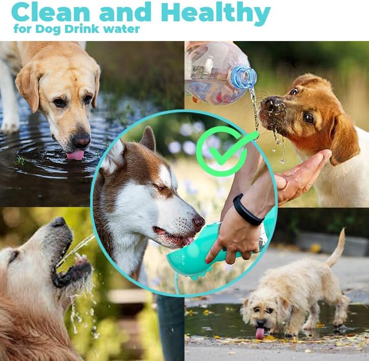 RFinote Dog Water Bottle | PetNestUK