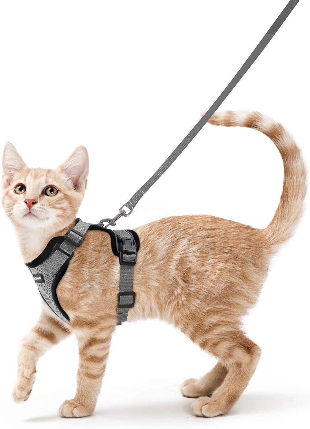 rabbitgoo Cat Harness and Lead Set, Escape Proof | PetNestUK