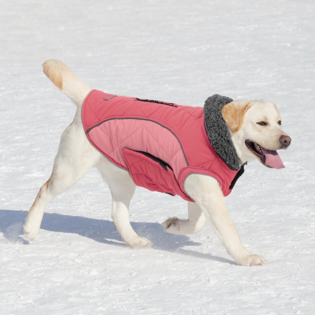 EMUST Winter Dog Coats, Fleece Dog Apparel for | PetNestUK