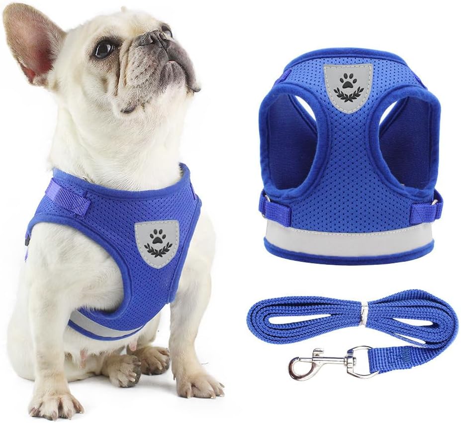 Anlitent Mesh Pet Harness and Lead Set