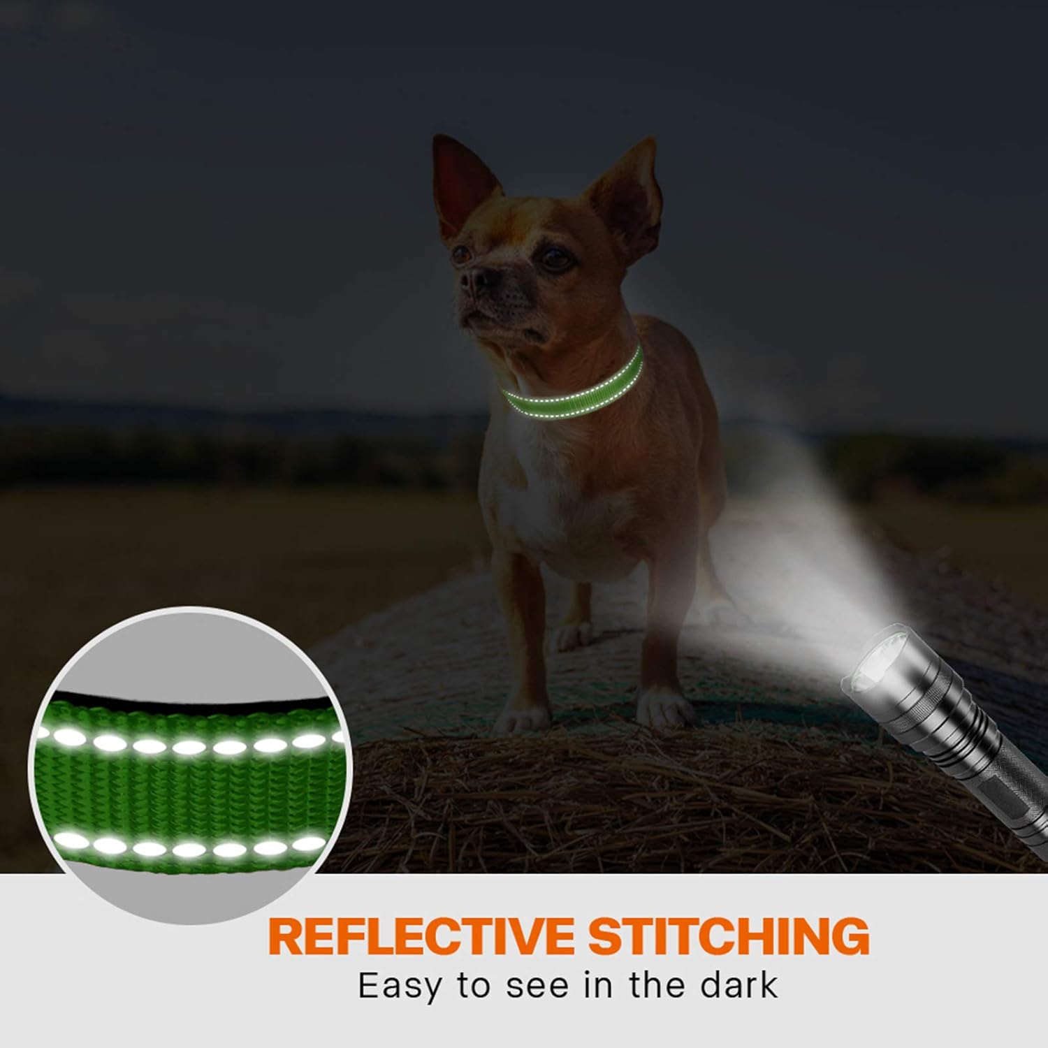 Taglory Reflective Nylon Dog Collar with Safety | PetNestUK