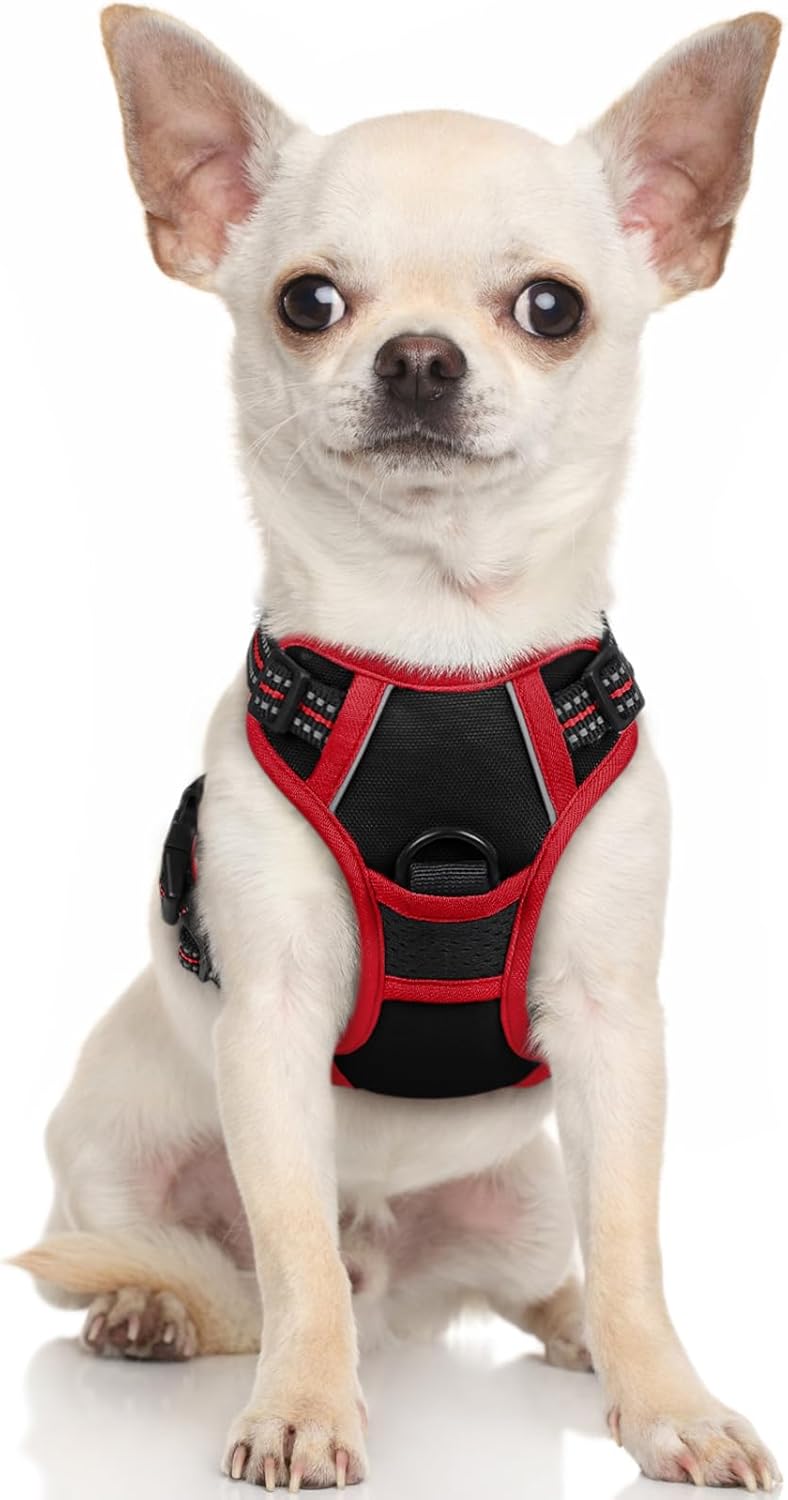 rabbitgoo Padded Dog Harness with Two Lead Clips