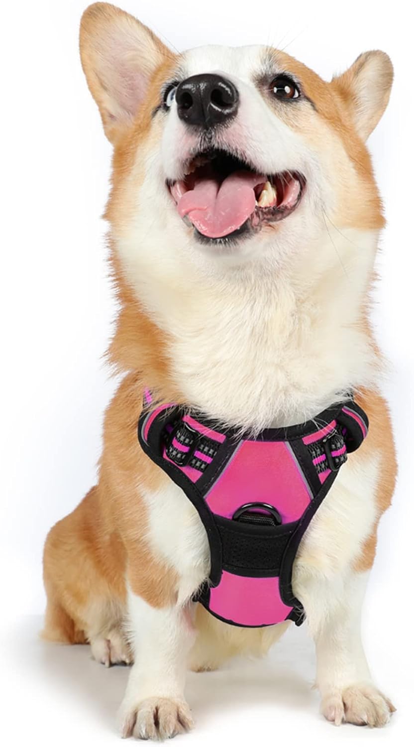 rabbitgoo Padded Dog Harness with Two Lead Clips