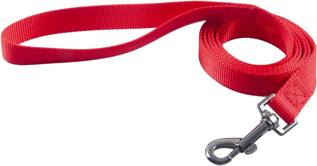 Olahibi Daisy Pattern Dog Collar and Leash | PetNestUK