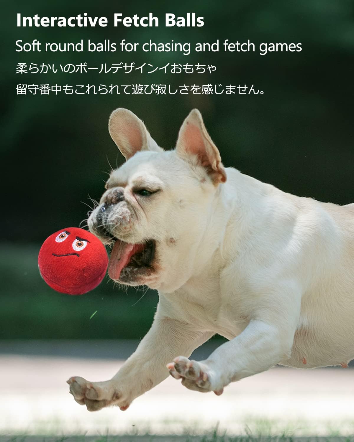 TONGKTAI Dog Toys, Soft Stuffed Plush Balls Pet | PetNestUK