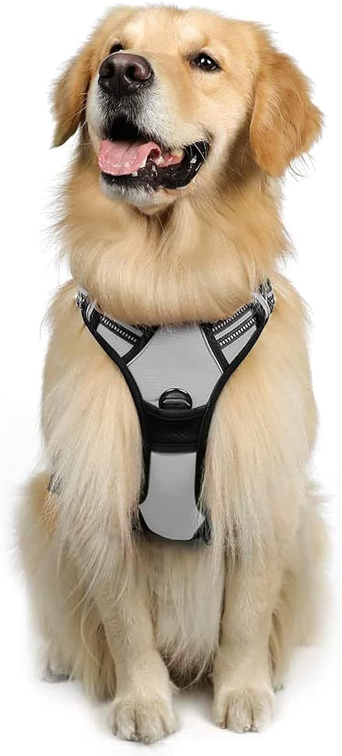 rabbitgoo Padded Dog Harness with Two Lead Clips