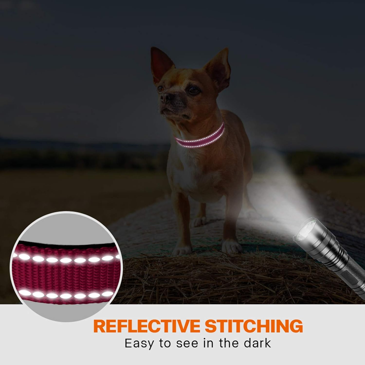 Taglory Reflective Nylon Dog Collar with Safety | PetNestUK
